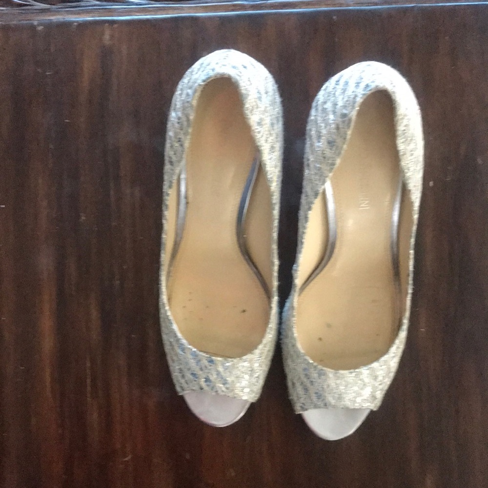 Enzo Angiolini pumps